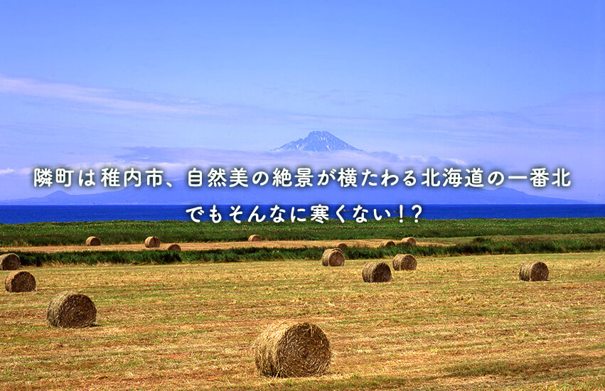 隣町は稚内市、自然美の絶景が横たわる北海道の一番北、でもそんなに寒くない！？